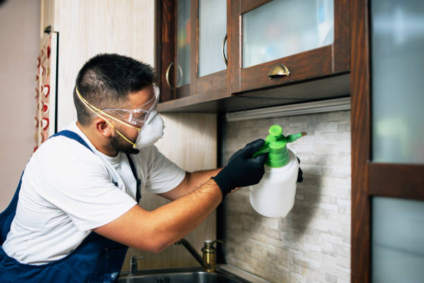 Best Exterminator Services  in Monroe, WA