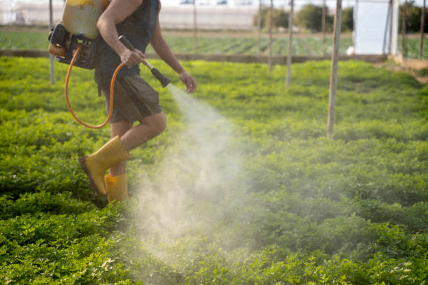 Best Wasp Removal Services  in Monroe, WA