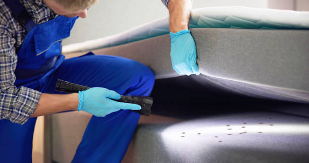 Best Best Pest Control Companies  in Monroe, WA