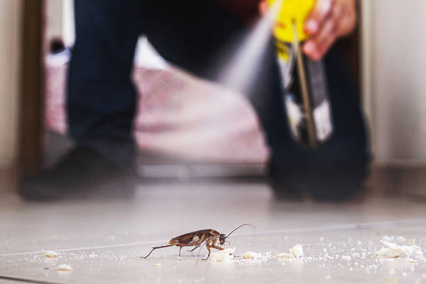 Best Pest Prevention Services  in Monroe, WA