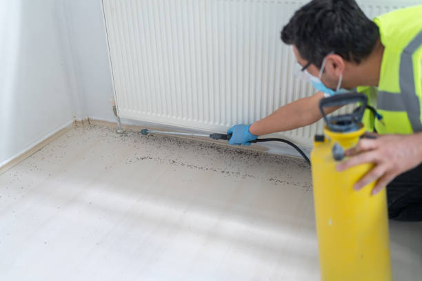 Best Bed Bug Extermination  in Monroe, WA
