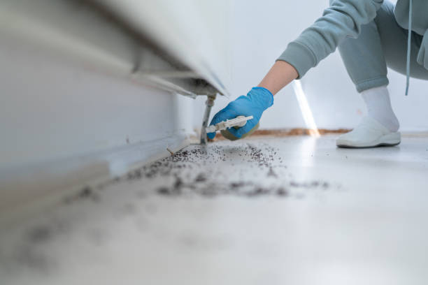 Best Flea Control Services  in Monroe, WA