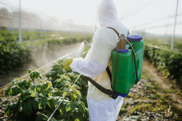 Pest Control Cost in Monroe, WA